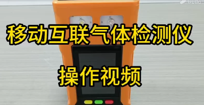 現(xiàn)場(chǎng)空氣監(jiān)測(cè)儀 PTM600-S