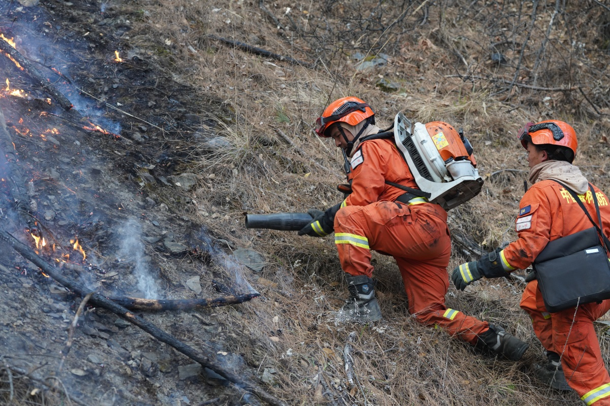 1735094318192754.png 1735094318192754.png